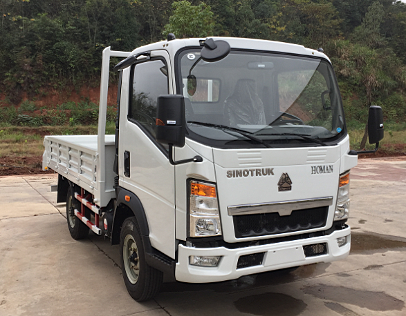 SINOTRUK 4X2 14ft CARGO TRUCK