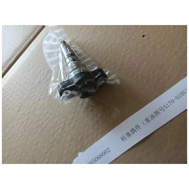 VG1095088002柱塞偶件