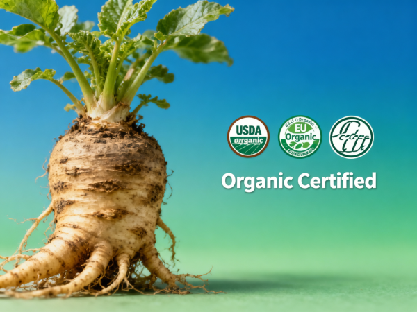 Maca Root Extract Bulk: Why Organic Certification Matters? Maca Root Extract Bulk: Why Organic Certification Matters?