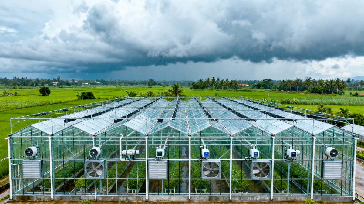 Vietnam Enforces Local Climate Data Validation for Smart Greenhouses