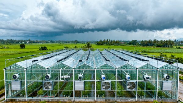 Vietnam Enforces Local Climate Data Validation for Smart Greenhouses