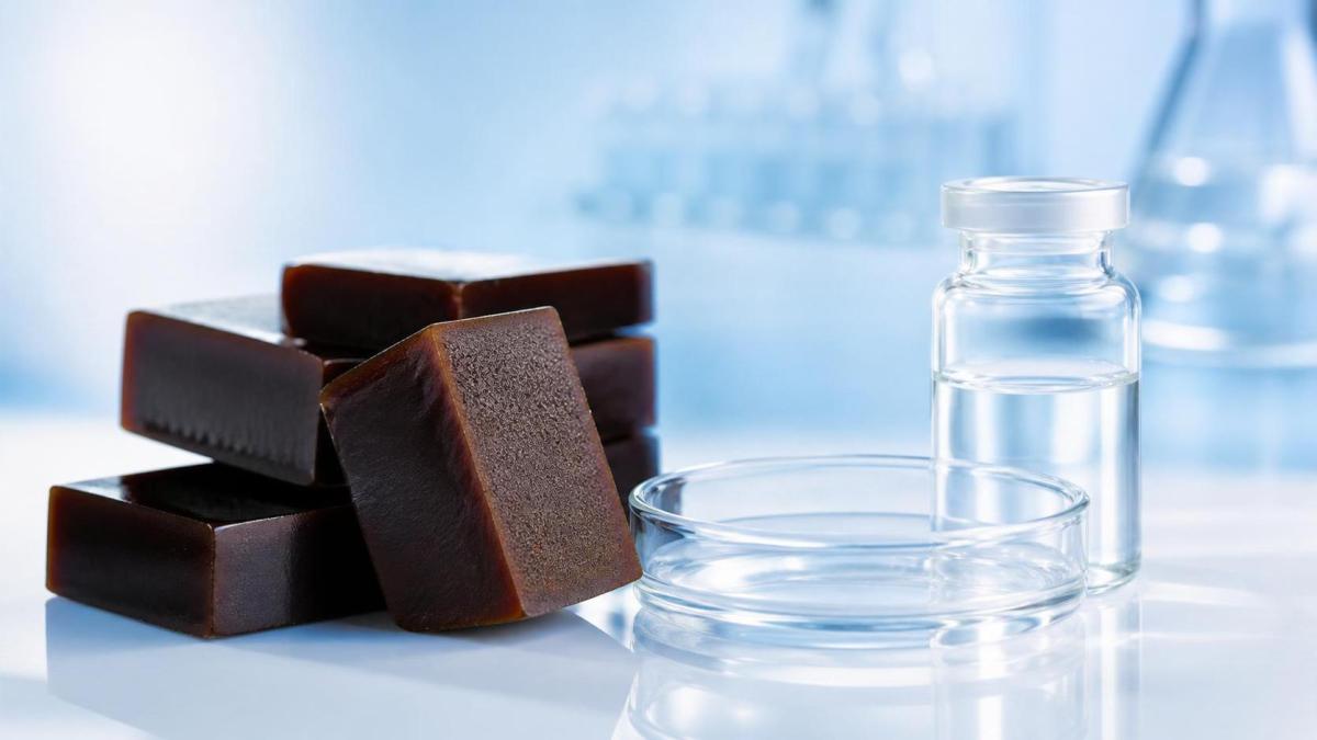 Ejiao Block Quality Guide: How to Assess Texture, Purity, and Storage Ejiao Block Quality Guide: How to Assess Texture, Purity, and Storage