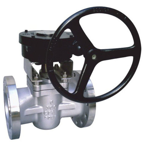 Titanium Valves