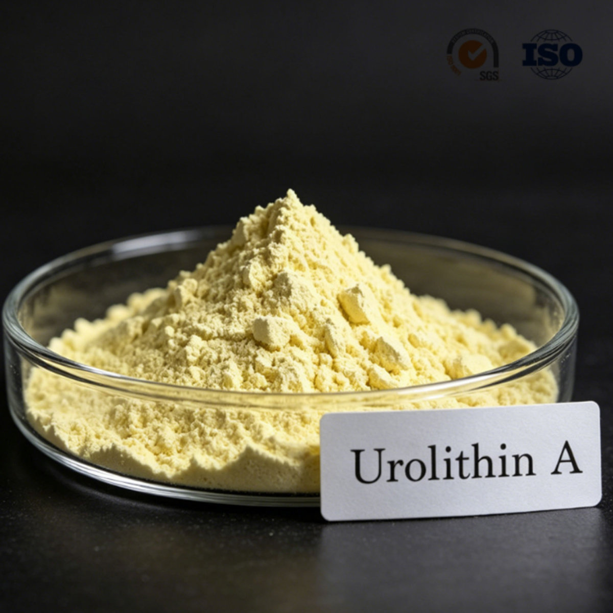 Urolithin A