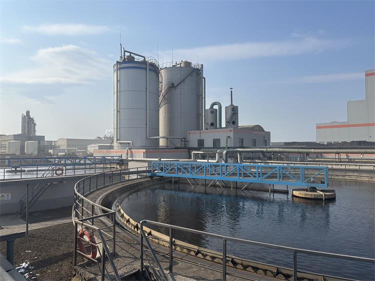 生物滤池