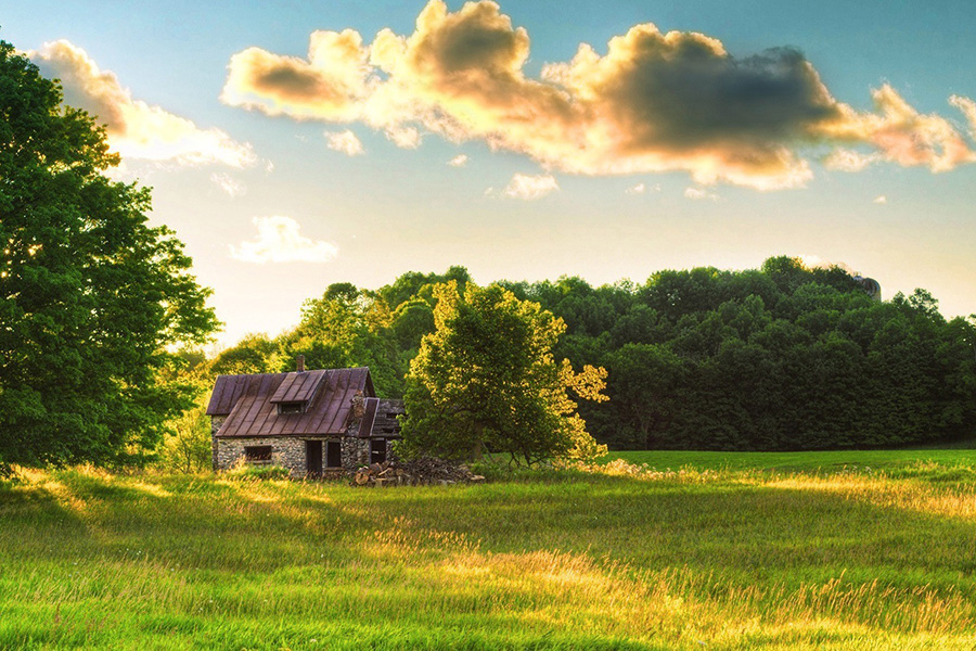 开平市新雷商行