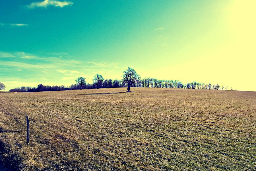 鹤山宅悟新雷商行
