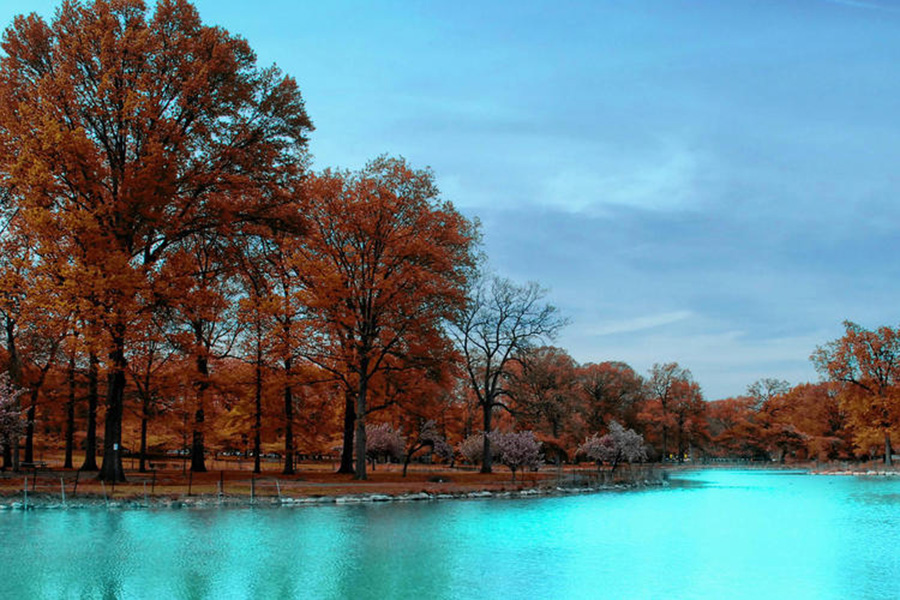 鹤山桃源新雷商行