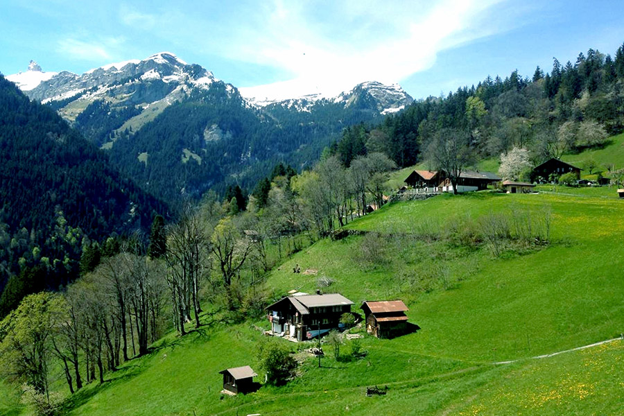 恩平市蓝蓝中介