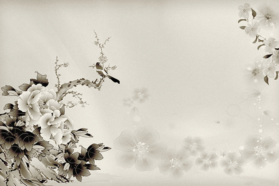 水墨画,中国风,牡丹,鸟.jpg