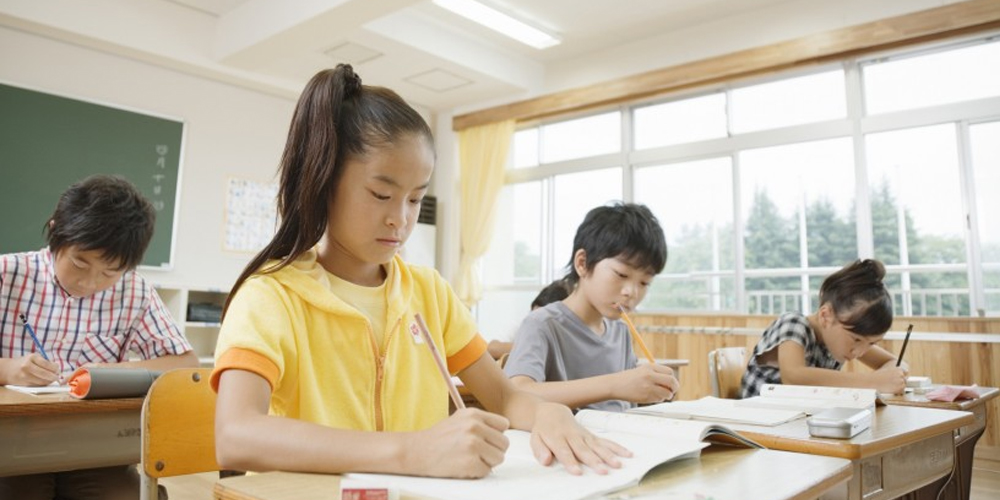 上海学区对口小学、初中学校分布情况